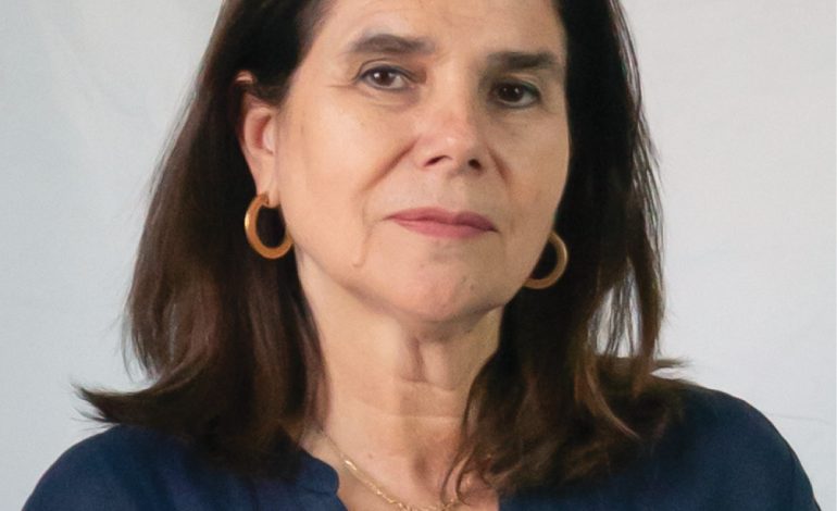 Diputada Ximena Ossandón: “En el Proyecto de Ley que regula las desarmadurías, es muy importante la opinión de los gremios”