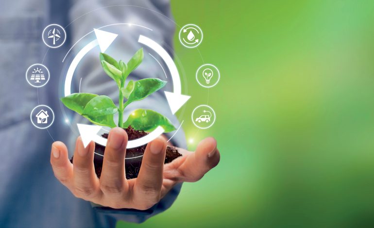 Ley REP: Un aliado clave para la economía circular